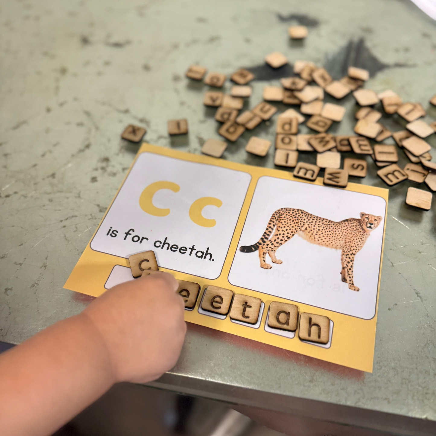 Alphabet Animal Cards – Digital Download